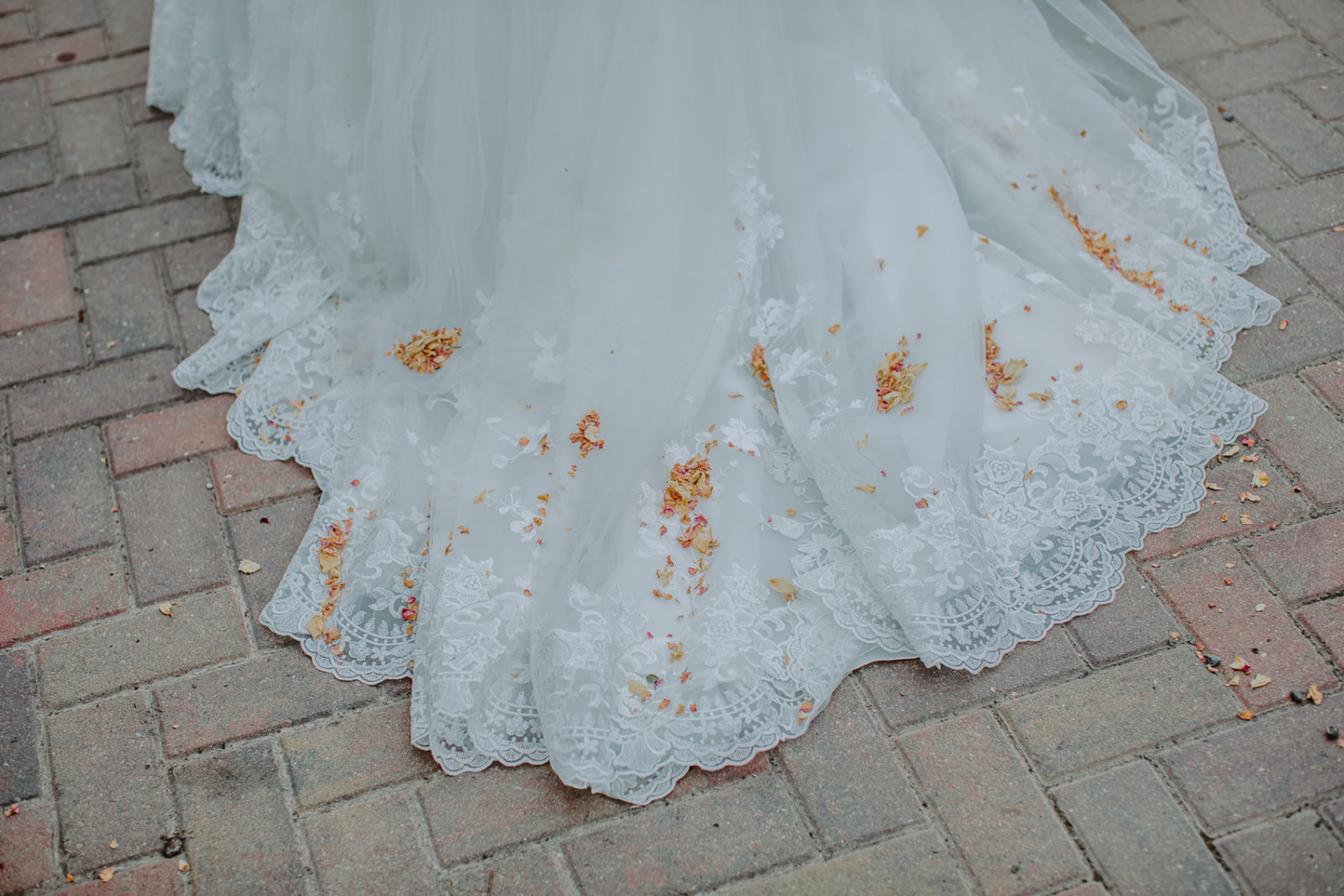 Detailed photo of bride's wedding dress covered with confetti