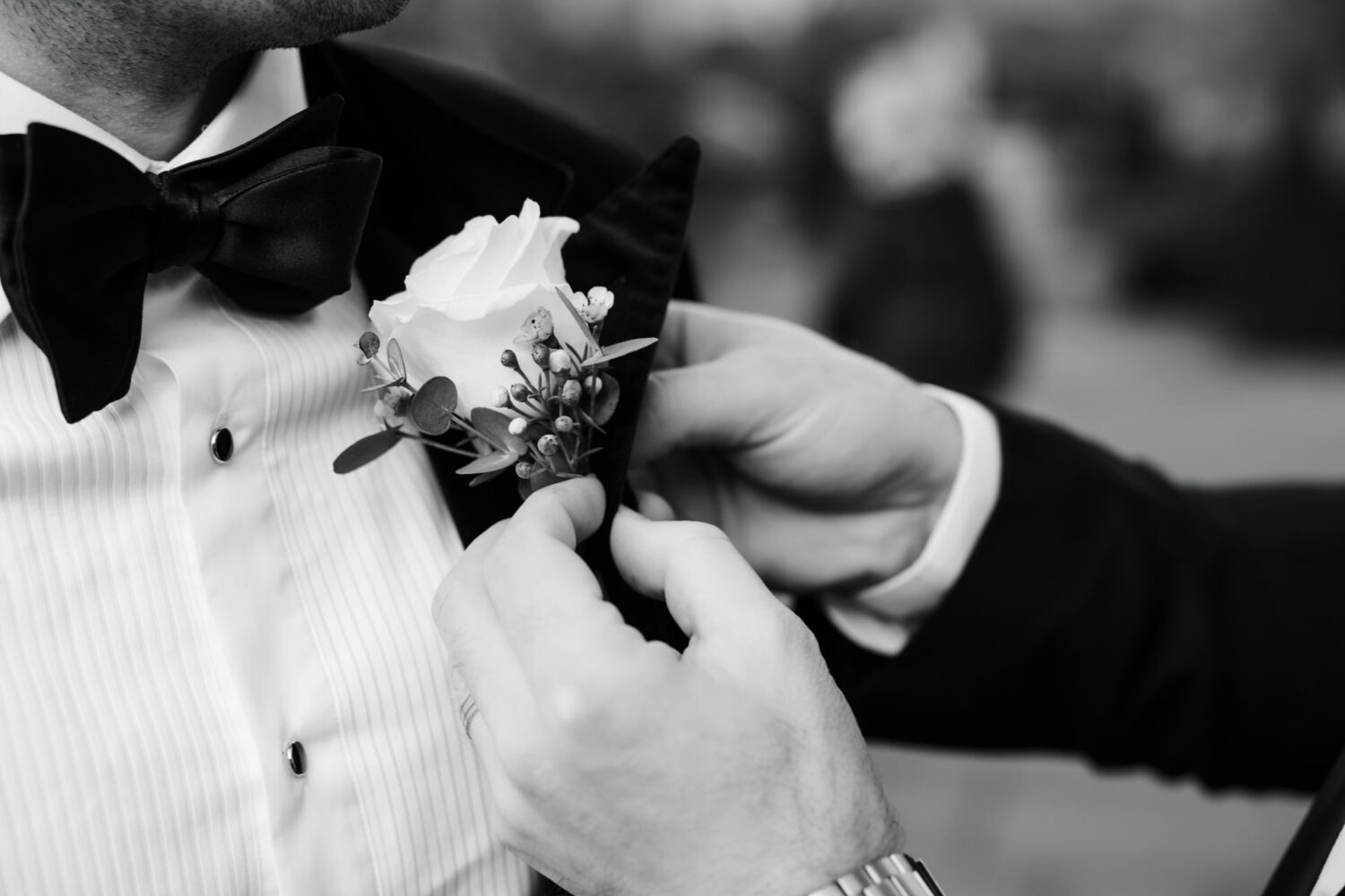 Close-up of a person adjusting a buttonhole featuring a white rose on a man's suit, highlighting a bow tie and pleated shirt—black and white image.