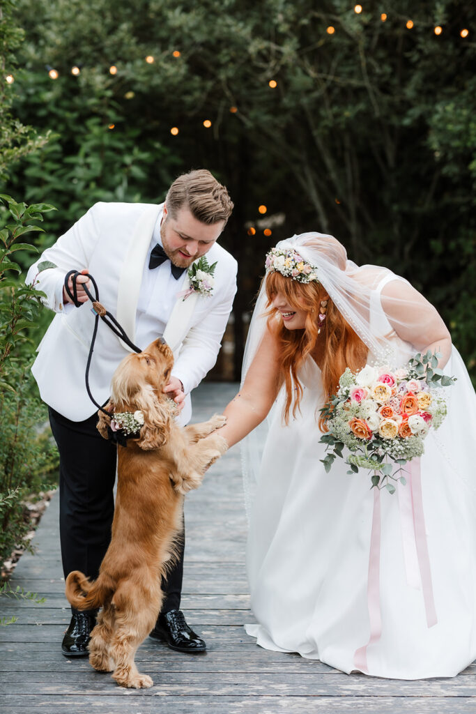 A bride and groom in wedding attire greet a brown dog on a wooden path, surrounded by greenery and string lights.